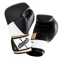 Перчатки боксерские Pro NF C185 Clinch